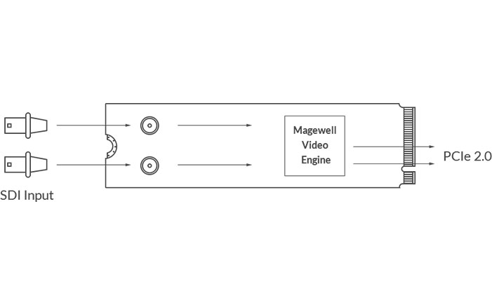 Magewell Eco Capture Dual SDI M.2